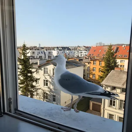Karlik Moj-sopot Pl Lejlighed